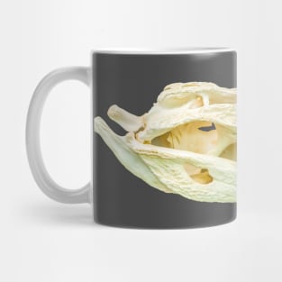 Nile Crocodile Skull Mug